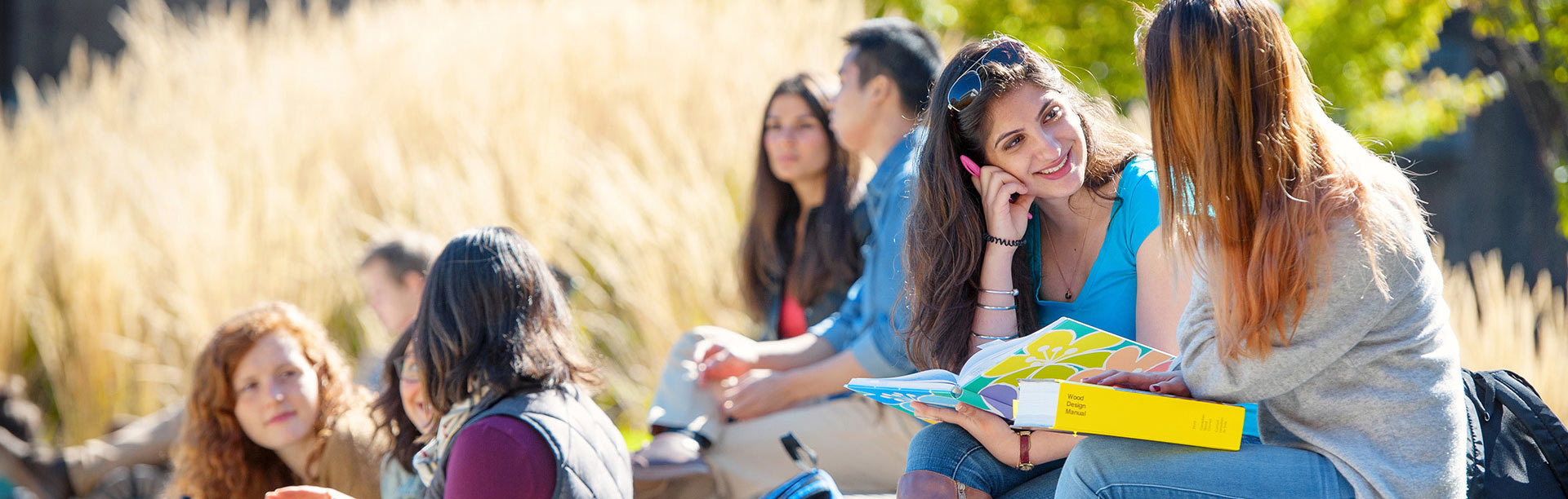 Graduate Students Studying outdoors