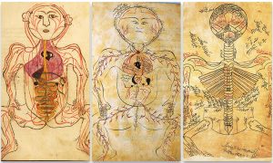 Expand your mind through ancient brain science
