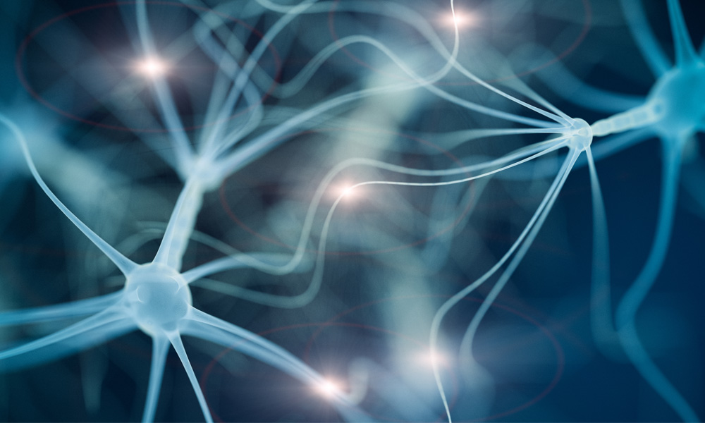 Develop expertise in psychological science, or experimental science, through rigorous research, analytical training, and collaborative work with faculty and research partners