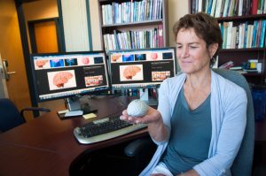 UBC study examines brain performance and left-brain, right-brain cooperation